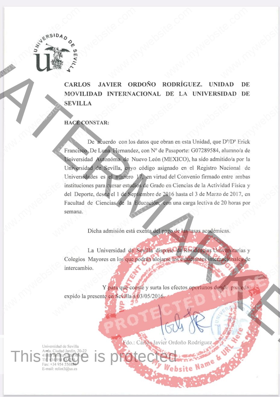 Imagen de WhatsApp 2024-04-09 a las 11.14.34_156a4b6a