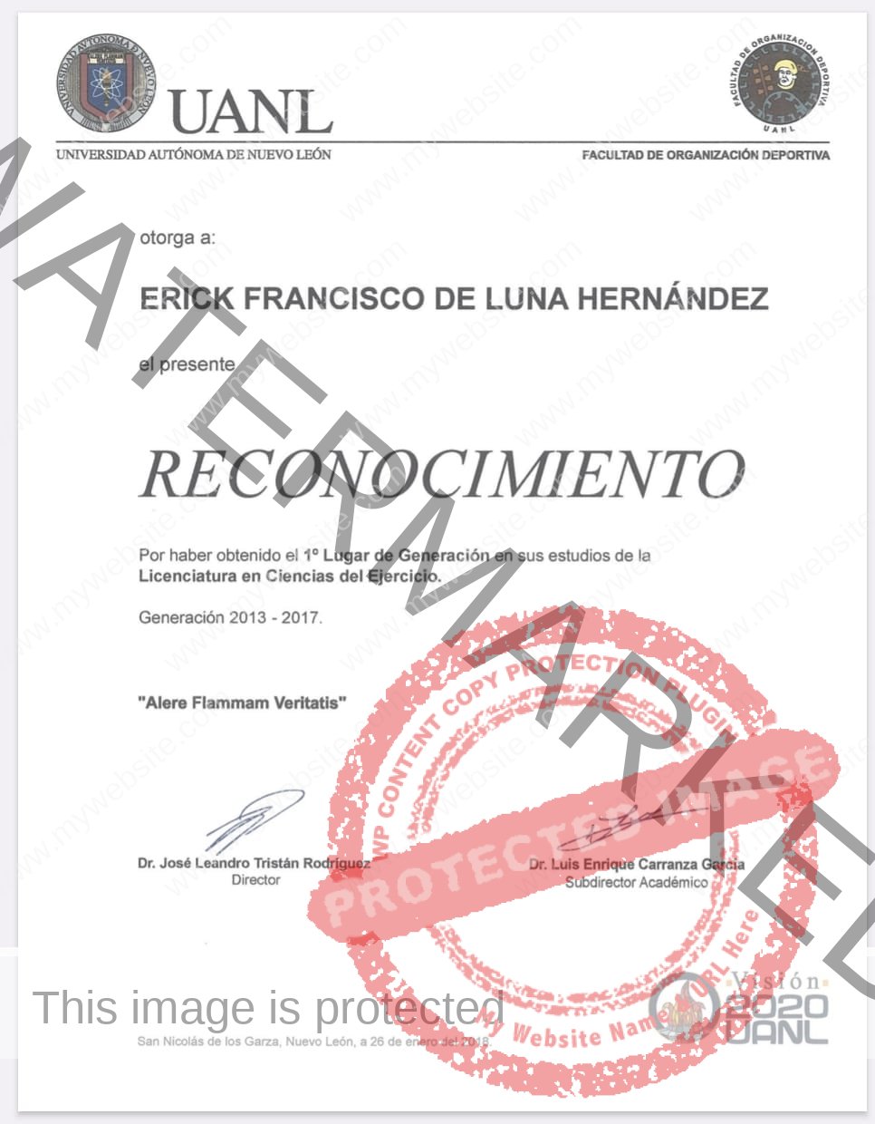 Imagen de WhatsApp 2024-04-09 a las 11.14.34_8f452a2d